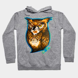 Owl Hoodie